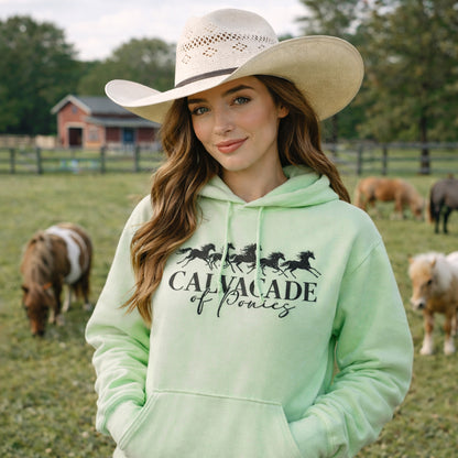 Cavalcade Of Ponies - Adult Unisex Hoodie