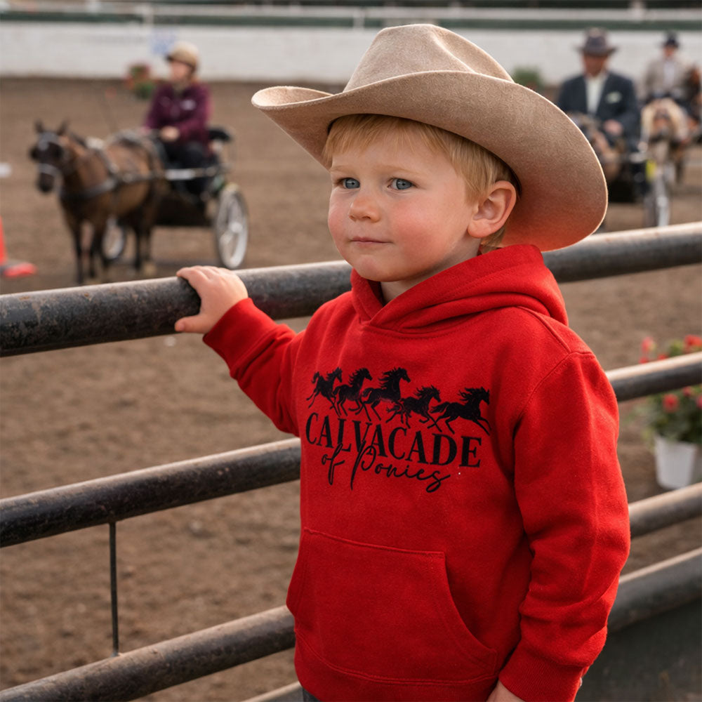 Cavalcade Of Ponies - Toddler Pullover Hoodie
