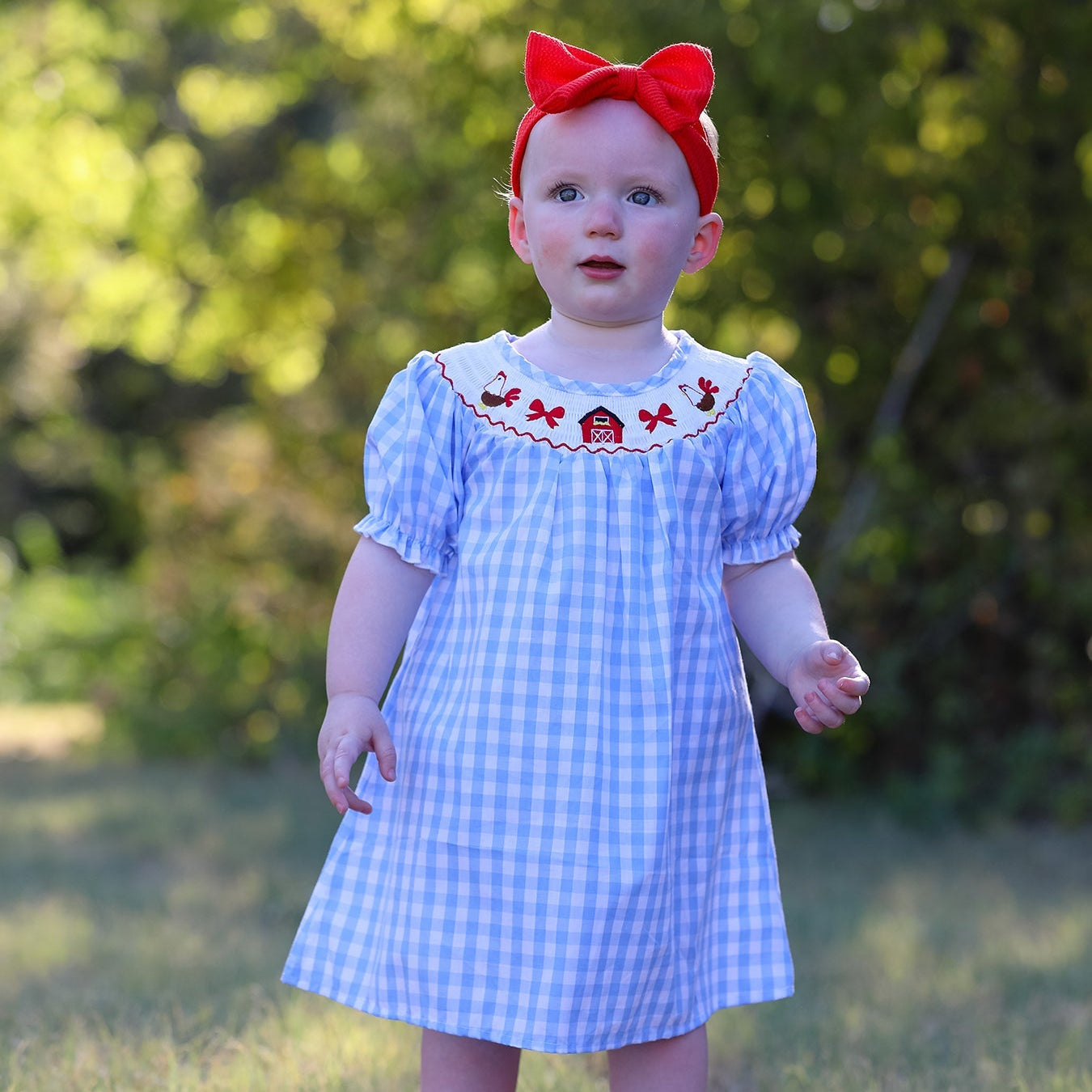 Child wearing a blue checkered dress with red embroidered farm accents outdoors